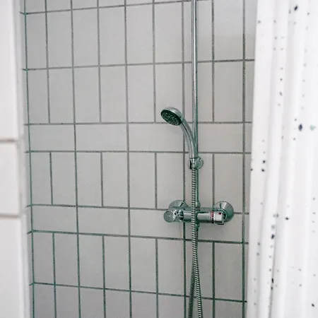 Det Gamle Hus Ved Soen Grasten